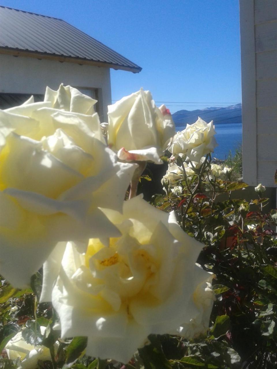 Las Agustinas Dat Daire San Carlos de Bariloche Dış mekan fotoğraf